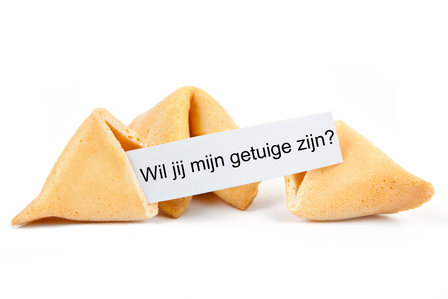 Fortune Cookie getuige zijn