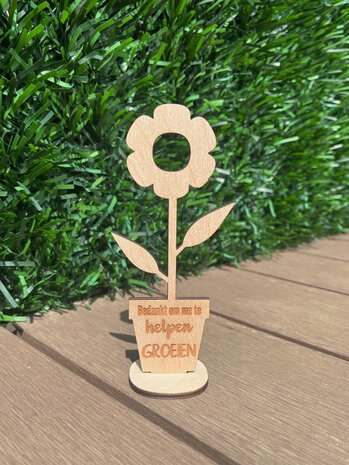 BLOEM GROEIEN JUF