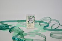 TICTAC COMMUNIE GITTE JUNGLE THEMA 2020