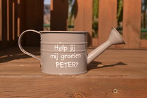 Grijze gieter peter