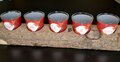 BOOMSTRONK THEELICHTJES ROOD